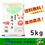 5年産 お米 米 天のつぶ ブランド米 5kg 白米 安い 美味い 送料無料 福島県中通り産天のつぶ5kg