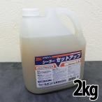 パラダインシーラーセットアップ  2kg