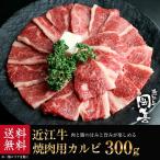  говядина близко . говядина yakiniku чёрный шерсть мир корова [ yakiniku ] близко . корова yakiniku для кальби 300g[ рефрижератор ]
