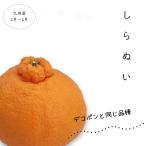  прохладный рейс отправка (. для бытового использования ) не . огонь (....)4kg декоративный элемент pon. такой же и т.п. товар вид [4 месяц последняя декада .. отправка начало ]