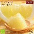 [ предварительный заказ *2026 год 2 месяц ](. для бытового использования * есть перевод ) сауэр pomero4kg помело грейпфрут (2 месяц последняя декада .. отправка начало )