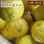 (加工・ジュース用）サワーポメロ８kg  ご家庭用（訳あり）(2月下旬より発送開始)