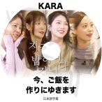 K-POP DVD KARA 今、ご飯作りに行きます 日本語字幕あり KARA カラ パクギュリ ハンスンヨン ホヨンジ カンジヨン 韓国番組 KARA KPOP DVD