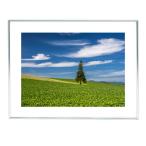  прекрасный .. прекрасный .7 фотография ввод фоторамка широкий 4 порез Hokkaido прекрасный .. глициния . один 