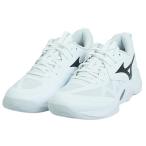 バレーボールシューズ ミズノ バレーシューズ ウエーブモーメンタムPRO 室内シューズ 白 ホワイト V1GA2540 50884