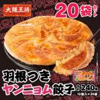 ショッピング餃子 羽根つきヤンニョム餃子20袋セット