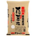 米 お米 5kg 令和5年産 