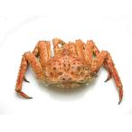  камчатский краб M размер Hokkaido день высота производство 1.5kg