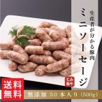 みやじ豚 豚肉 『無添加 肉汁溢れるミニソーセージ 50本(500g)』冷凍 発送 生産者 直販 国産 化学調味料不使用 防腐剤不使用 発色剤不使用