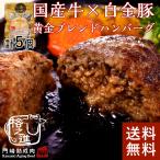 熟成肉の格之進 『金格ハンバーグ（5個セット）』肉 牛肉 焼肉 ステーキ お取り寄せ