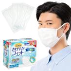 レック(LEC) 日本製 不織布 マスク 白 さわやかフィット ふつうサイズ 60枚入 ( 個包装 ) 175×90mm /幅広ゴム/JIS規格