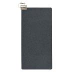 パナソニック ホットカーペット 電気カーペット トリプル断熱構造 省エネ タイマー機能 防ダニ 2面切り替え 1畳 176×88cm DC-1N