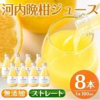 河内晩柑ストレートジ