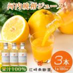 河内晩柑ストレートジ