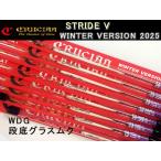 クルージャン　ストライドV　ウィ�