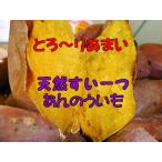 あま〜い冷凍焼き芋【安納芋】2.7kg箱入り