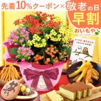 敬老の日 プレゼント 70代 80代 ギフト 祖母 花 カランコエ 早割 花とスイーツ 花とお菓子 鉢植え お菓子 洋菓子 メッセージ 施設 90代