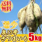  Izumi 13 номер батат местного производства ( Shizuoka ) батат 5kg