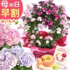 母の日 プレゼント ギフト 花 花と