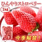 冷凍いちご いちご 冷凍 フルーツ イチゴ 苺 冷凍イチゴ 冷凍苺 国産 国産いちご 1kg あきひめ 紅ほっぺ スイーツ ストロベリー 苺アイス 春摘み シャーベット
