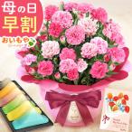 母の日 花とスイーツ プレゼント 花 早割 スイーツ ようかん 富士山 2026 ギフト カーネーション 鉢植え 花鉢 お菓子 食べ物 豪華 おしゃれ