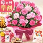 母の日 2026 ギフト 早割 花 花とスイーツ プレゼント スイーツ ギフトセット 籠バッグ 和菓子 カーネーション 鉢植え お菓子 60代 70代 80代