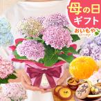 母の日 ギフト 花 プレゼント 2025 鉢植え 花とスイーツ あじさい 紫陽花 アジサイ スイーツ セット 花鉢 和菓子 お菓子 60代 70代 80代