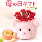 母の日 2026 早割 プレゼント 花 スイーツ カーネーション ギフト お菓子 和菓子 刺繍 3号 花鉢 花とスイーツ セット 50代 60代 70代