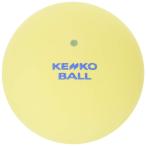 ナガセケンコー(KENKO) ケンコーボール ナガセケンコー ケンコーソフトテニスボール スタンダード イエロー 2個 TSSY-V