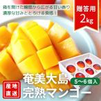 .. Apple манго Amami Ooshima производство высота сахар раз * высококлассный фрукты подарок .. для синий превосходящий товар 2kg(5~6 шар входить )