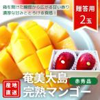 .. Apple манго Amami Ooshima производство высота сахар раз * высококлассный фрукты подарок .. для несессер ввод красный превосходящий товар 2 шар входить 