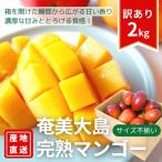 .. Apple манго есть перевод Amami Ooshima производство высота сахар раз *. для бытового использования 2kg размер не комплект 