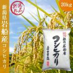 岩船産コシヒカリ 令和5年産 お米 送料無料 新潟県産 20kg 5kgx4袋