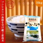 新米新潟こしいぶき10kg令和7年...