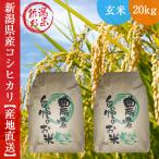 玄米 低温冷蔵庫保存 新潟県産コシヒカリ 20kg(10kg×2) 送料無料 お米 令和6年産