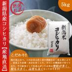 新潟 コシヒカリ 5kg 新米 令和元年度 最安値 白米 最高品質 送料無料 こしひかり