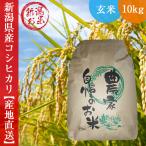 玄米 低温冷蔵庫保存 コシヒカリ 米 10kg 送料無料 新潟県産 お米 令和6年産