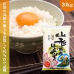 米 20kg 山形産はえぬき 令和6年産 お米 精米 白米 5kg x 4袋
