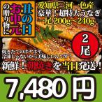 鰻　国産　蒲焼　父の日ギフト　特大2本　生　焼きたて愛知県三河一色産特大うなぎの蒲焼き1尾200g〜240g2尾合計400〜480g