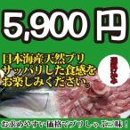 Yahoo! Yahoo!ショッピング(ヤフー ショッピング)2023年入荷次第発送開始！ 日本海産 ブリ（天然ブリ）[生]　1匹（3kg前後）