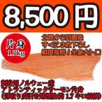 刺身用ノルウェー産アトランティックトロサーモン片身（骨取り皮引き処理後 約1.7キロ前後）