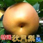 梨 秋月 ギフト なし 完熟 秋月梨 特選 5L以上 3kg箱 贈答用 プレゼント 茨城県産 和梨 Japanese pear