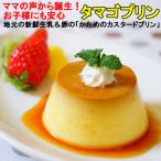 プリン ギフト タマゴプリン85g×12個 カスタードプリン ぷりん 昔懐かしい 素朴な 固め 硬め 茨城県