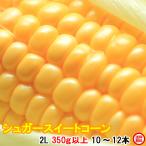 とうもろこし トウモロコシ シュガースイートコーン 4kg箱 2L 350g以上 10〜12本 茨城県 産地直送 朝採り 当日出荷 お取り寄せ corn