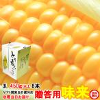 ショッピングとうもろこし ギフト とうもろこし トウモロコシ 味来 約3.6kg 3L 450g以上 8本 茨城県 産地直送 朝採り 当日出荷