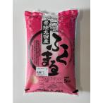 �V��  �� ����� �ӂ��܂� ���� 5kg �ߘa8�N�Y �M�t�g ��錧 ���� ���� ������ �헤���c�Y