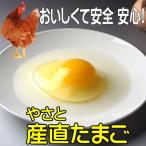 卵 タマゴ やさと産直たまご L20個 安全安心 産み立て産地直送 卵 たまご 玉子 茨城 ギフト お取り寄せ