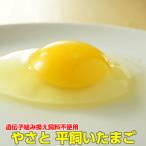  Tama . яйцо flat .. яйцо ... flat .. яйцо M20 шт подарок прямая поставка от производителя безопасность безопасность производство . установить tamago Tama . шар . Ibaraki ваш заказ 