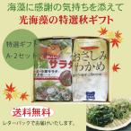  свет водоросли. специальный отбор осень подарок A-2 комплект cache отсутствует расчет ограничение 