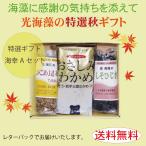  свет водоросли. Special . осень подарок море. .A комплект cache отсутствует расчет ограничение 